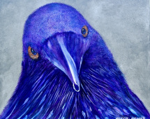 1_raven