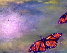 Butterflies_at_Pop_Pop's_House