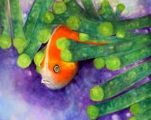 Timid_Goldfish