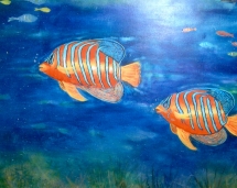 angel_fish