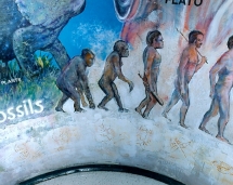 hs_science_mural_evolution