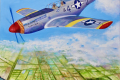 Tuskeege-Airman