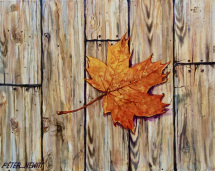 1_autumn_leaf