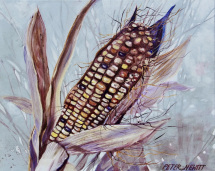 1_corn