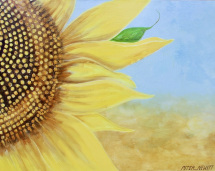 1_large_sunflower