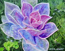 1_purple_flower
