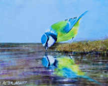 1_thirsty_bird