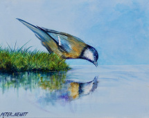 1_thirsty_reflection