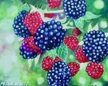 1_young_berries