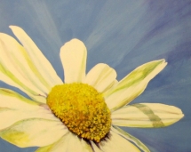 bold_daisy