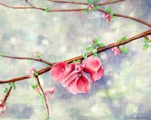 first_blossom