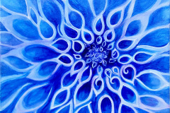 1_blue_dahlia