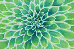 1_green_dahlia