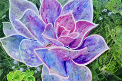 1_purple_flower