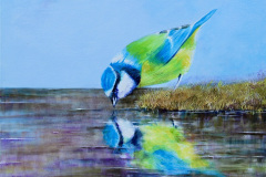 1_thirsty_bird