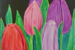 Tulips