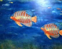 angel_fish