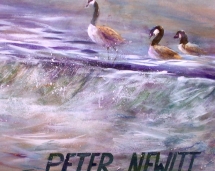 boathouse_row_geese_detail